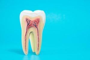 How Long Does Tooth Enamel Last?