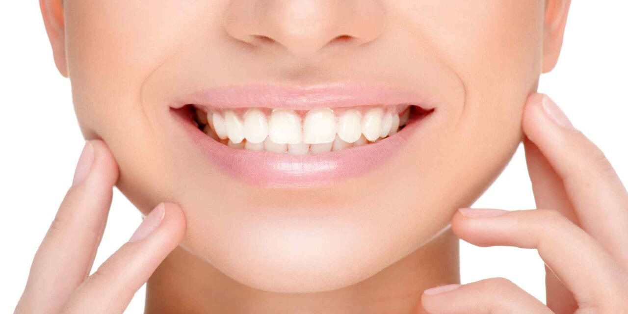 Types of Teeth – A Brief Overview